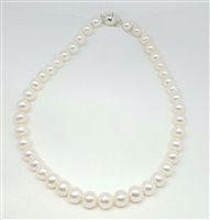 Collier Mazzucato Gioielli Femme in Perles Perla 25P3 - 25P3